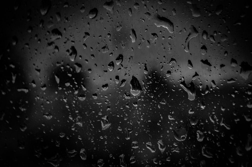 Photograph by Шевелева Анастасия