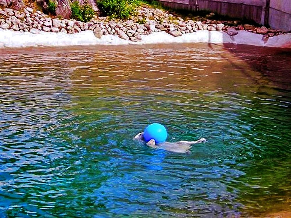 Polar bear playing