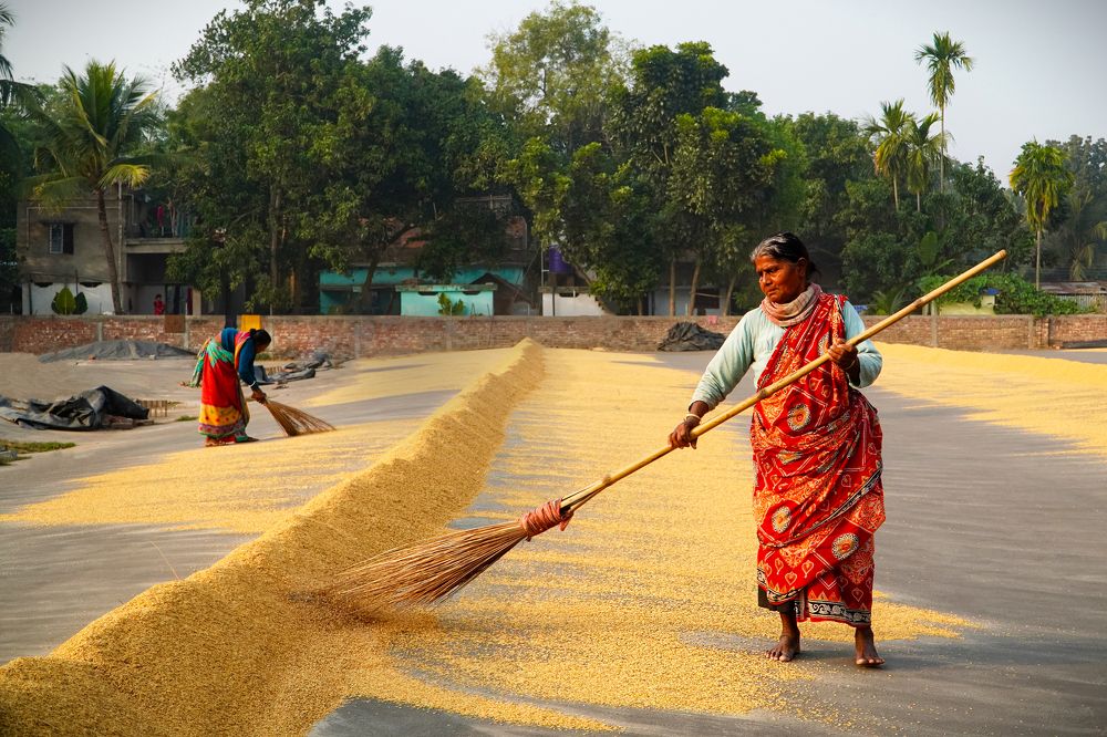 Photograph by Prasanta Roy