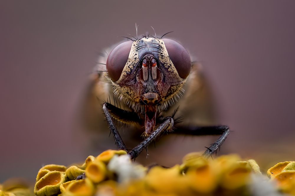 Photograph by Юрий Яковлевич