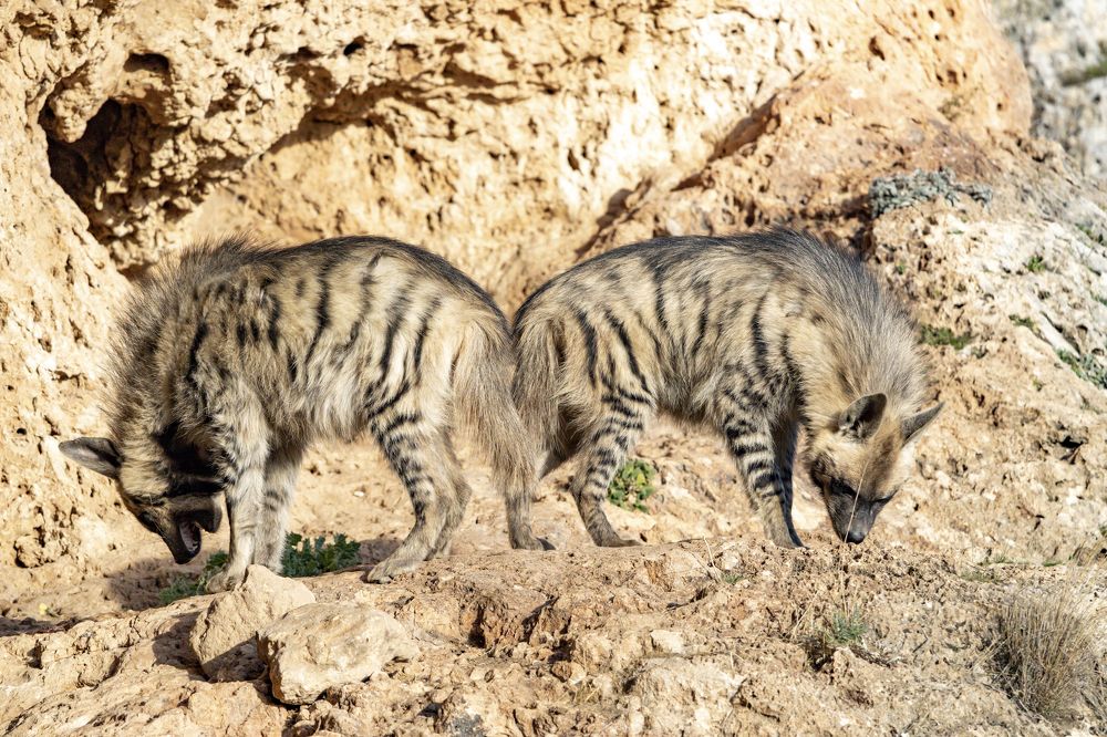 Photograph by Onur Polat