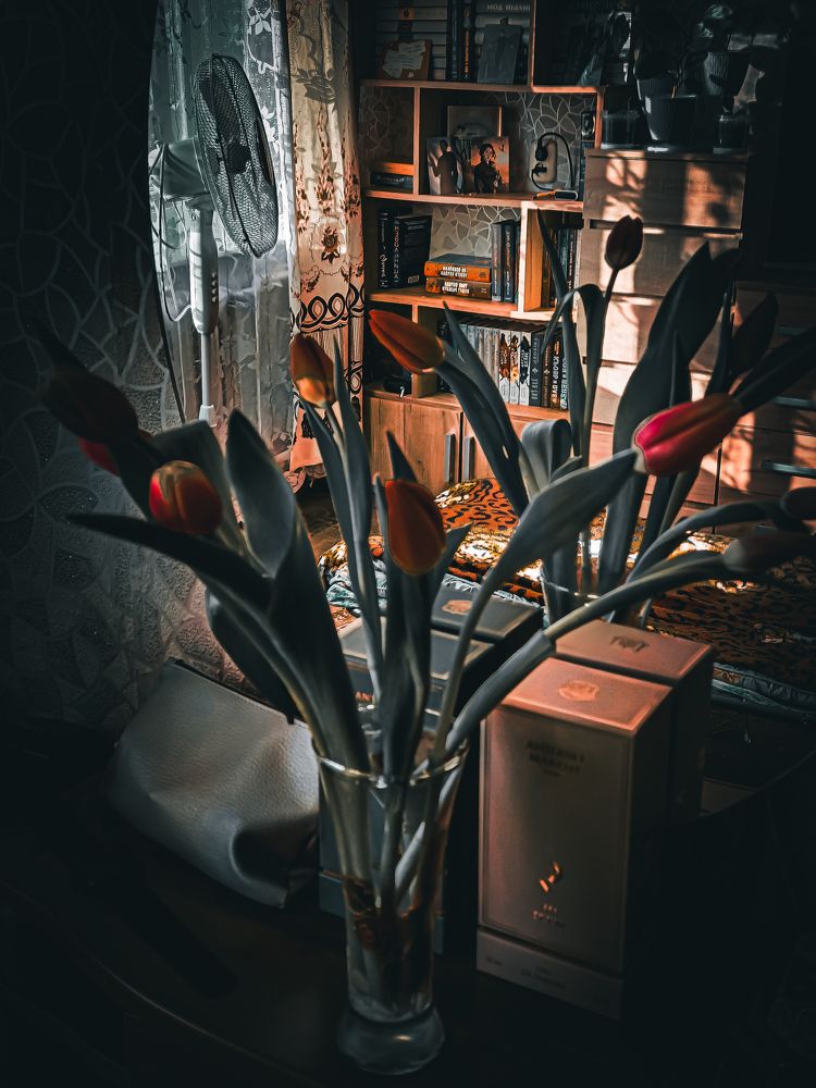 Photograph by Владимир Сушкин