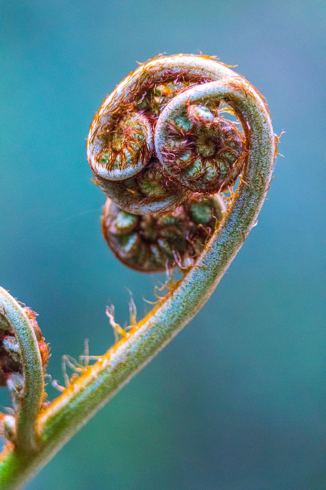 Photograph by Harshi Edirisinghe