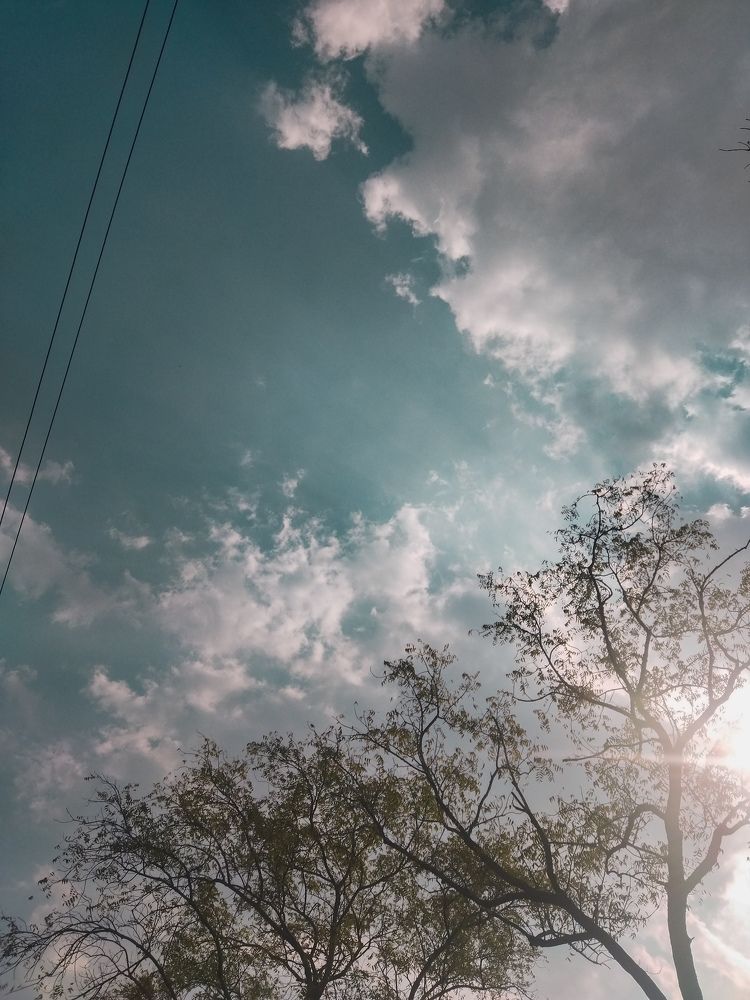 Photo #10471752
