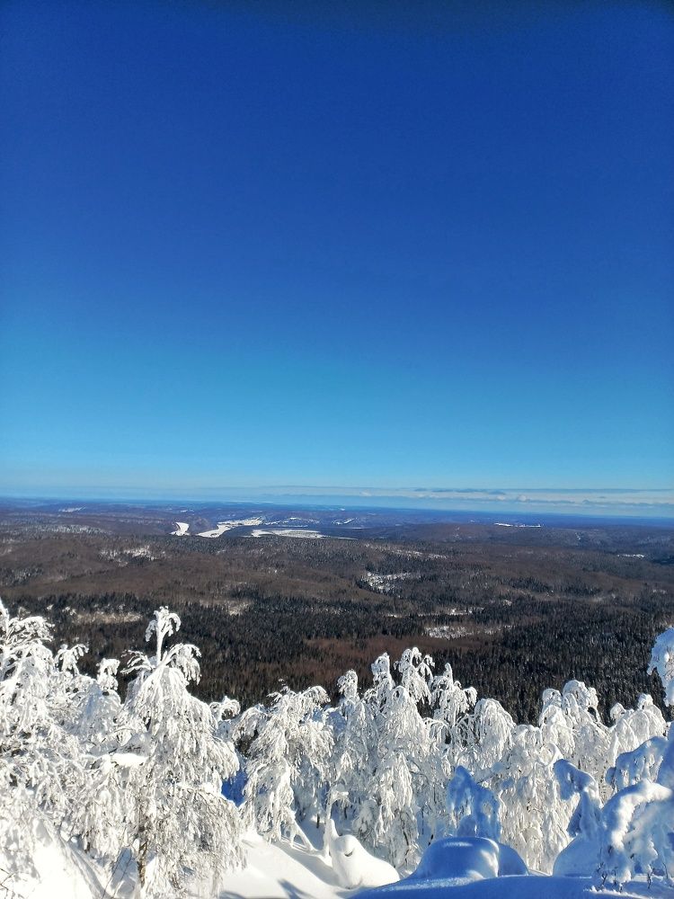 Фотография автора Елена Кичигина