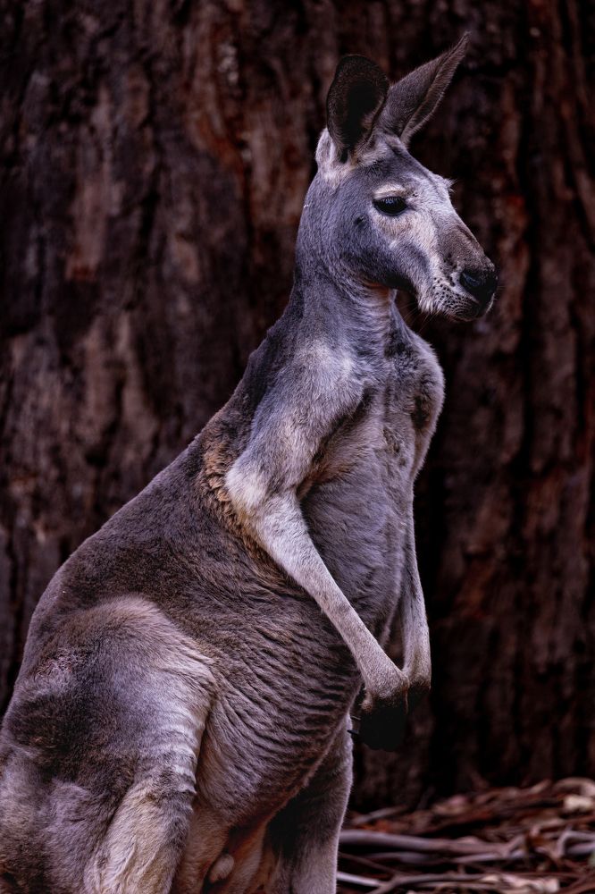 Photograph by Harshi Edirisinghe