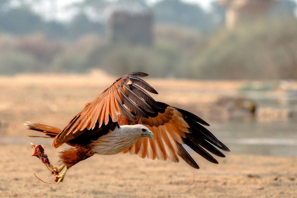 Photograph by Sharad Mansharamani