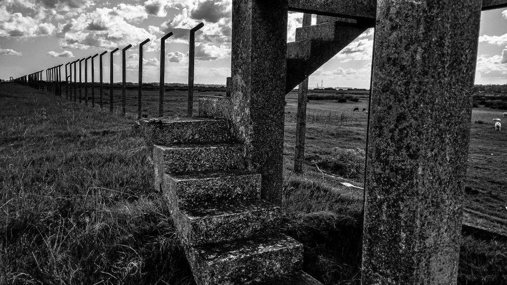 Photograph by Charles Guerra