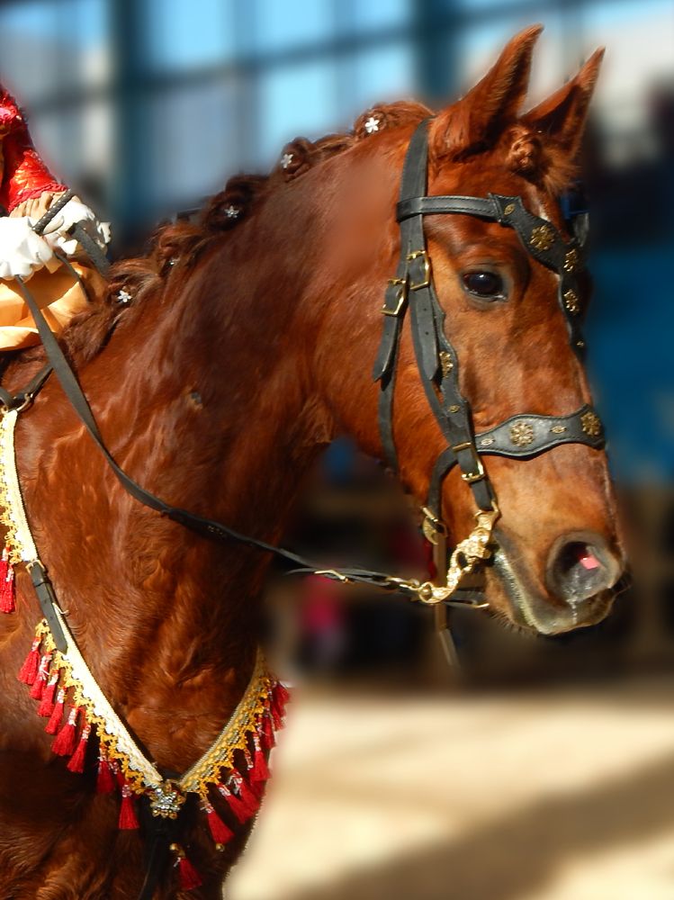 Photograph by Ирина Леончик