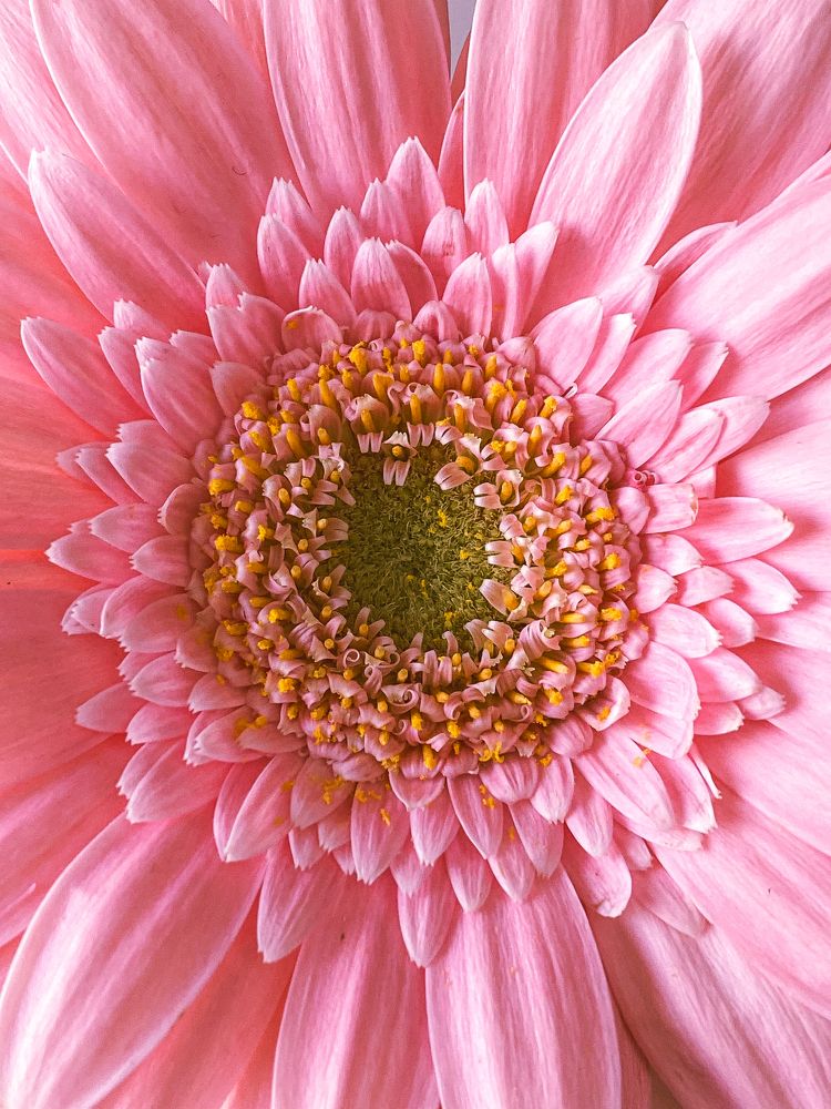 Photograph by Дарья Махнёва