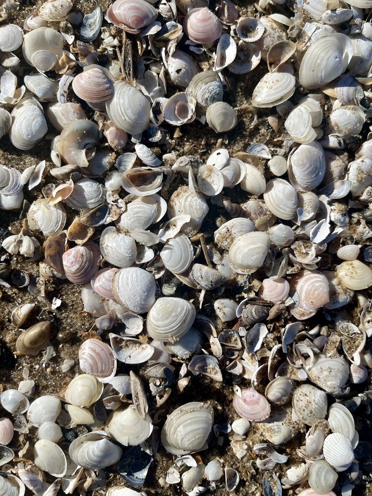 Photograph by Александра