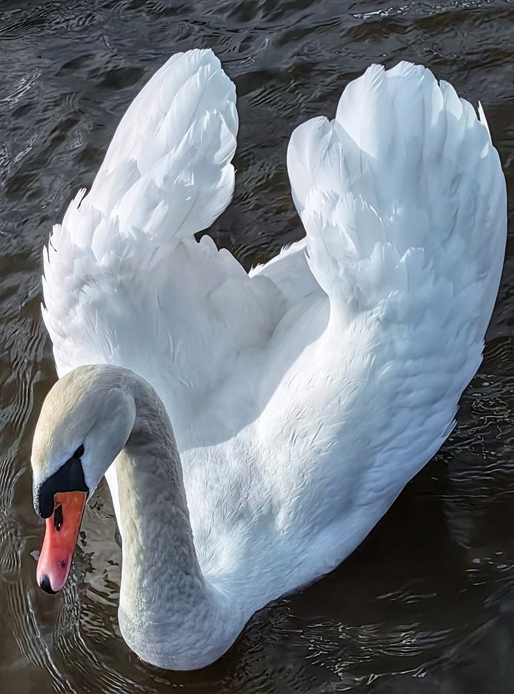 Photograph by Андрей Тур