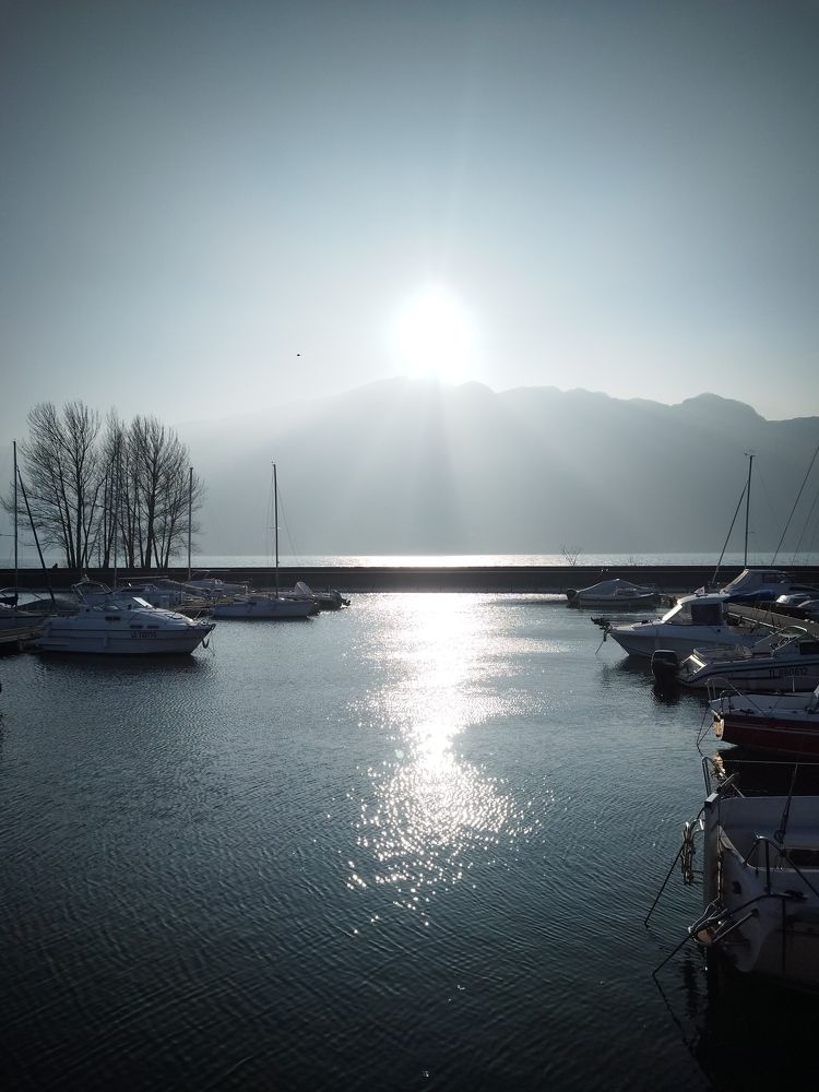 Фотография автора Clarise Joy Evangelista