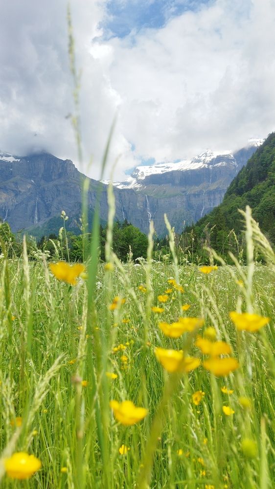 Фотография автора Clarise Joy Evangelista