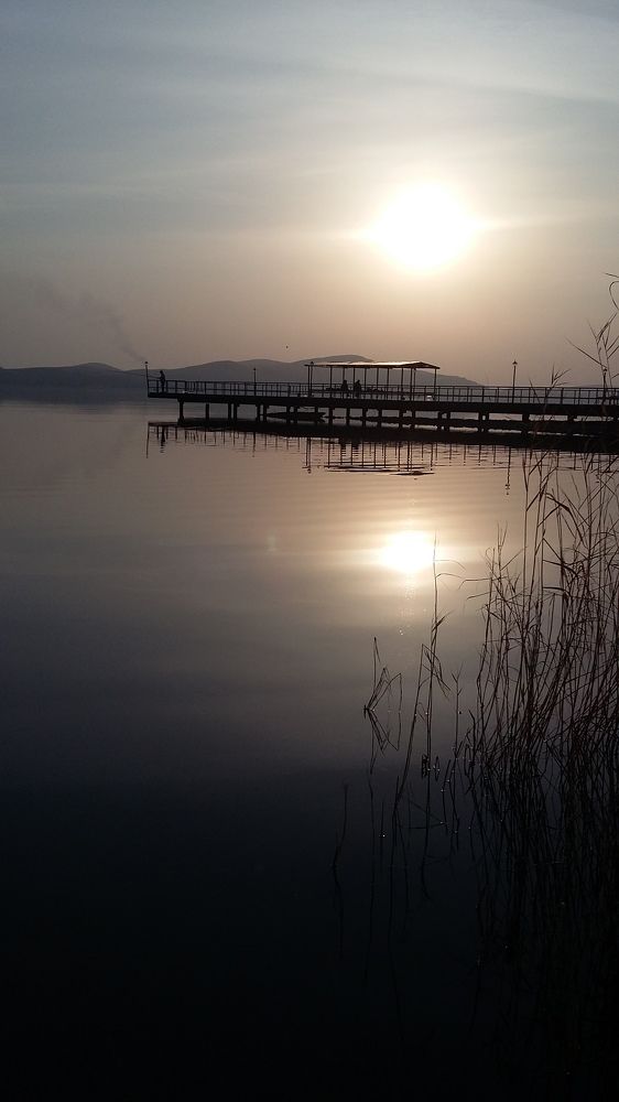 Photo #10472049