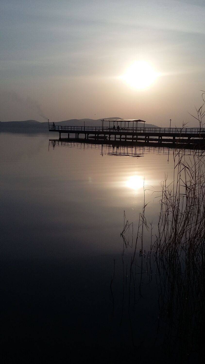 Photo #10472049