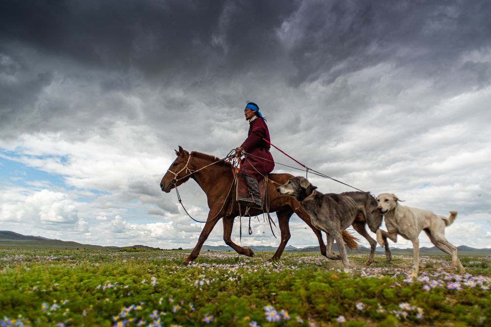 Photograph by Borjigon Bayasal