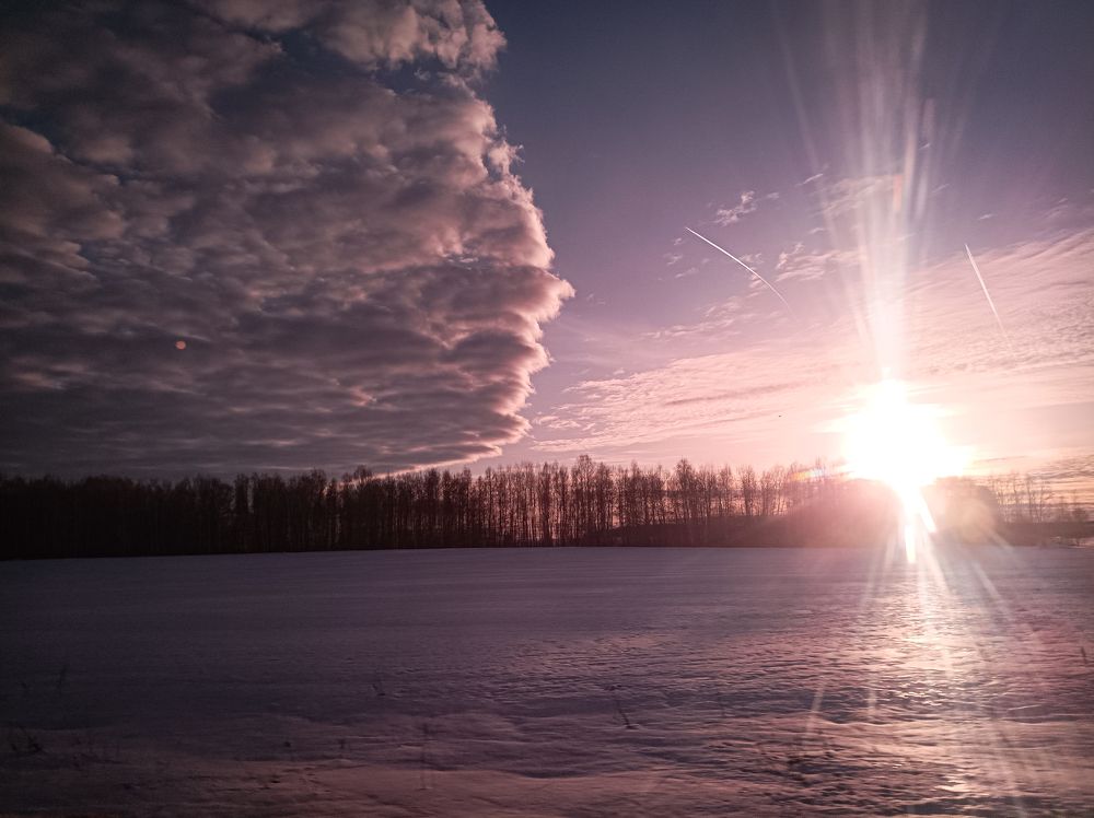 Photograph by Алексей Попов