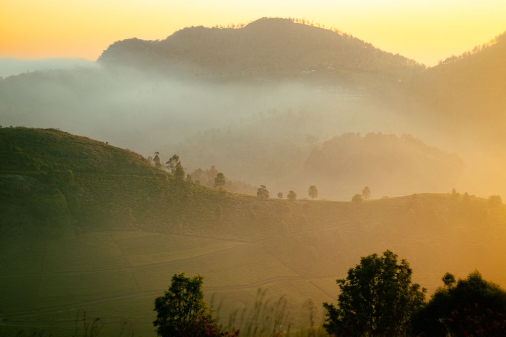 Photograph by Jayendra M