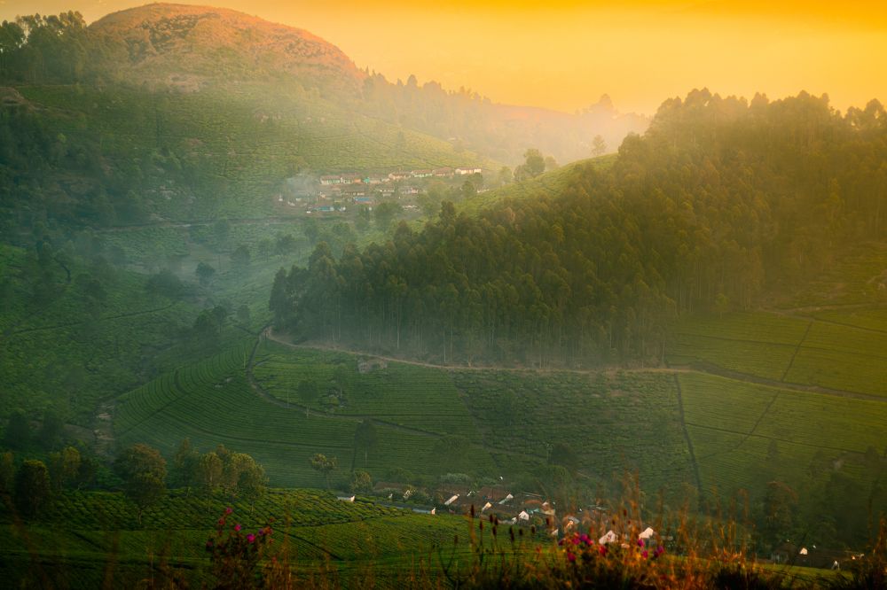 Photograph by Jayendra M