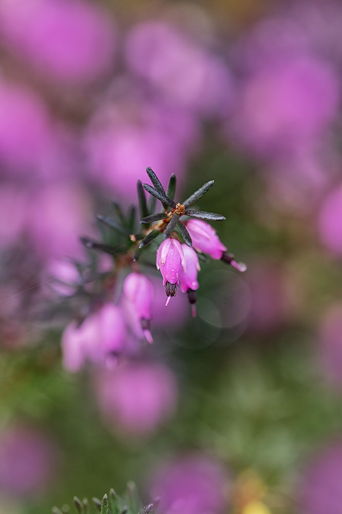 Photograph by Monika Cebula