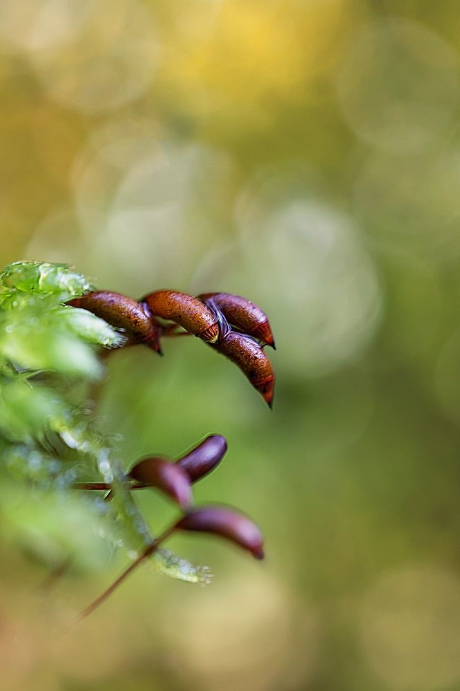 Photograph by Monika Cebula