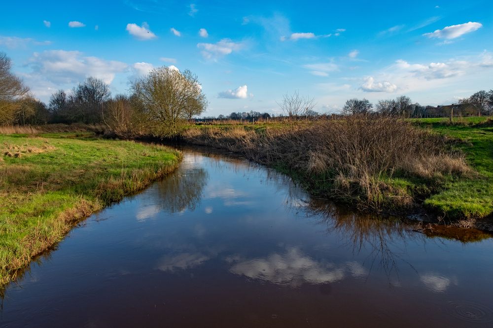 Photograph by Craciun Nicolae