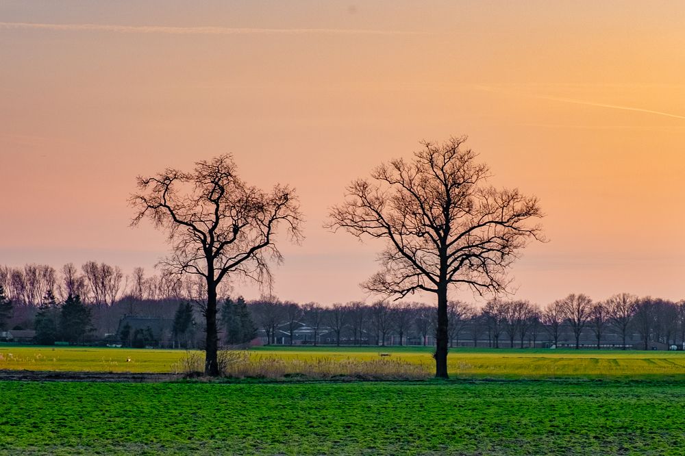 Photograph by Craciun Nicolae