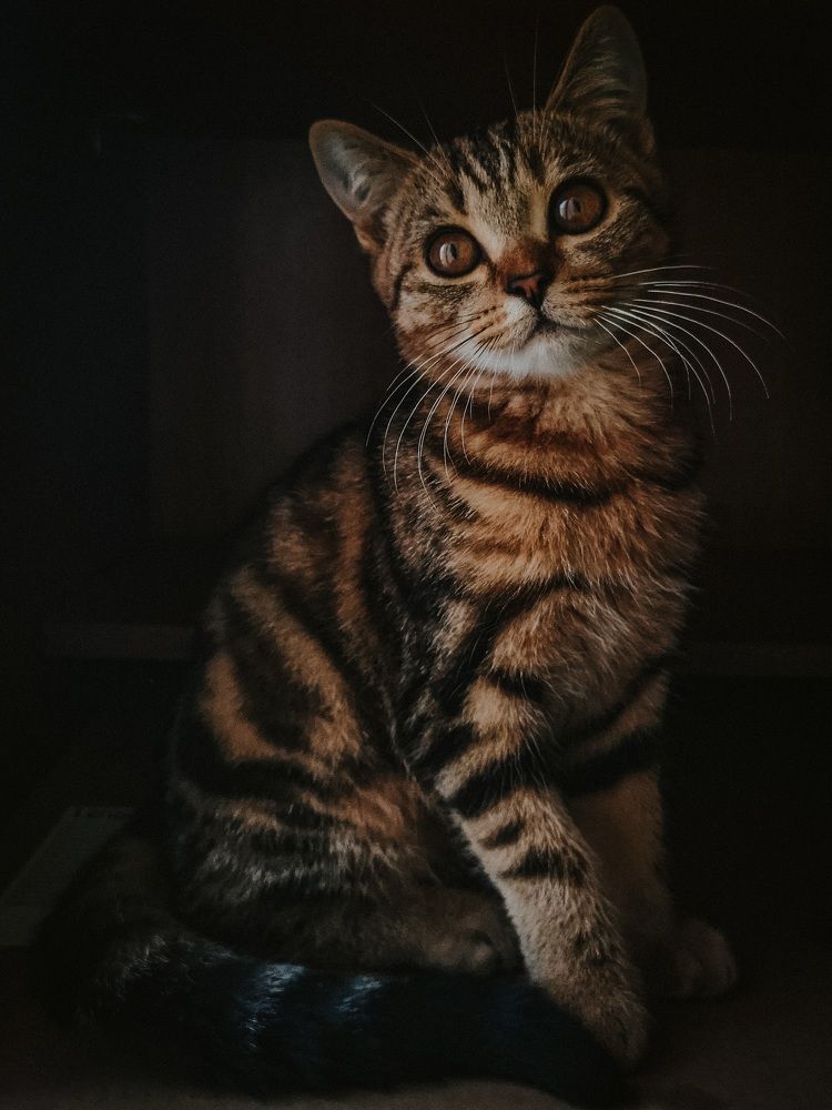 Photograph by Денис Ольгович