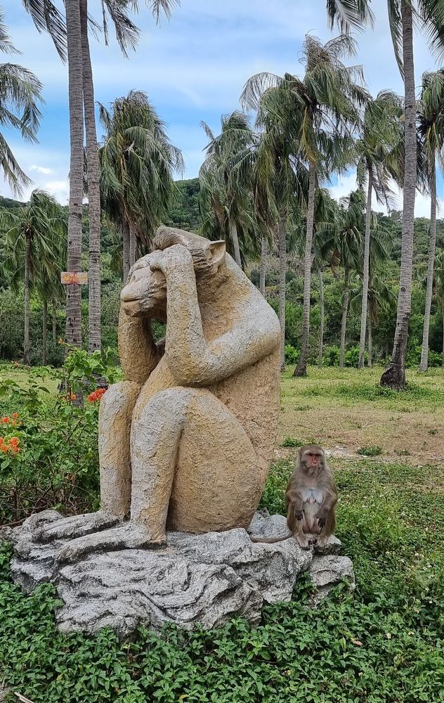 Вьетнам, остров Обезьян