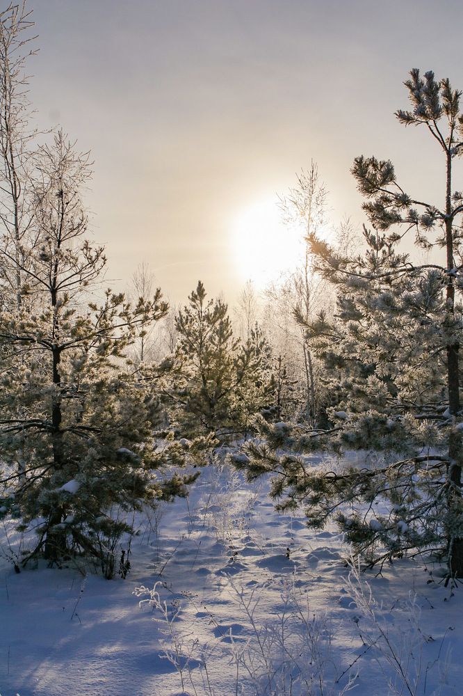 Photograph by Анна Озякова