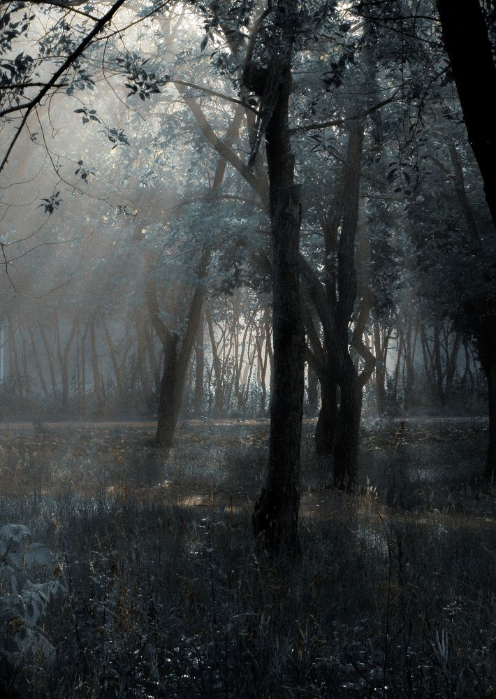 Photo #10472345