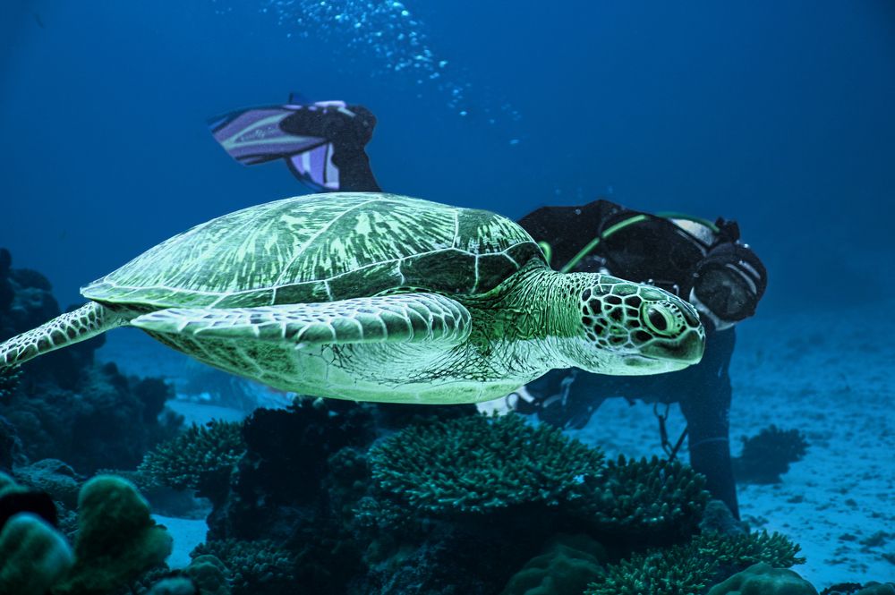 Photograph by Валерий Одинцов