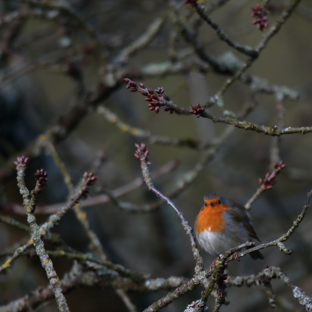 Photograph by Mike Temmerman