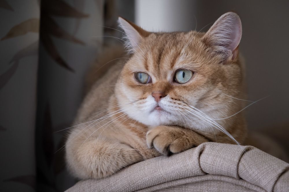 Photograph by Олег Дорошенко