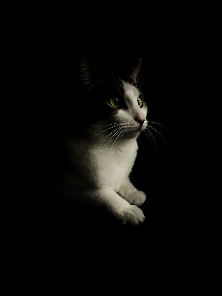 Photograph by Анастасия Конина