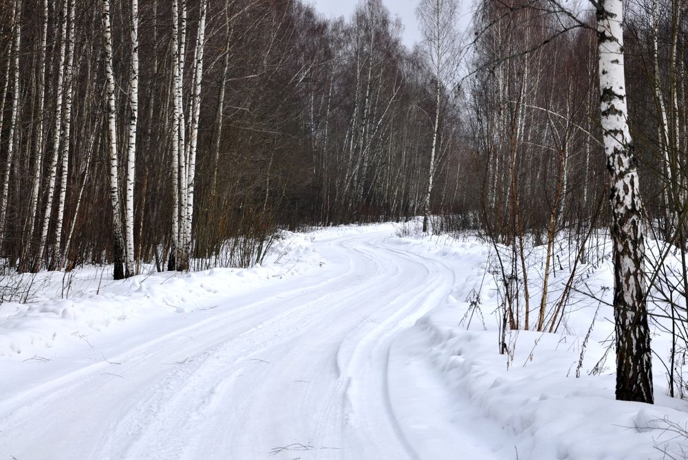 Photograph by Ольга Суляева