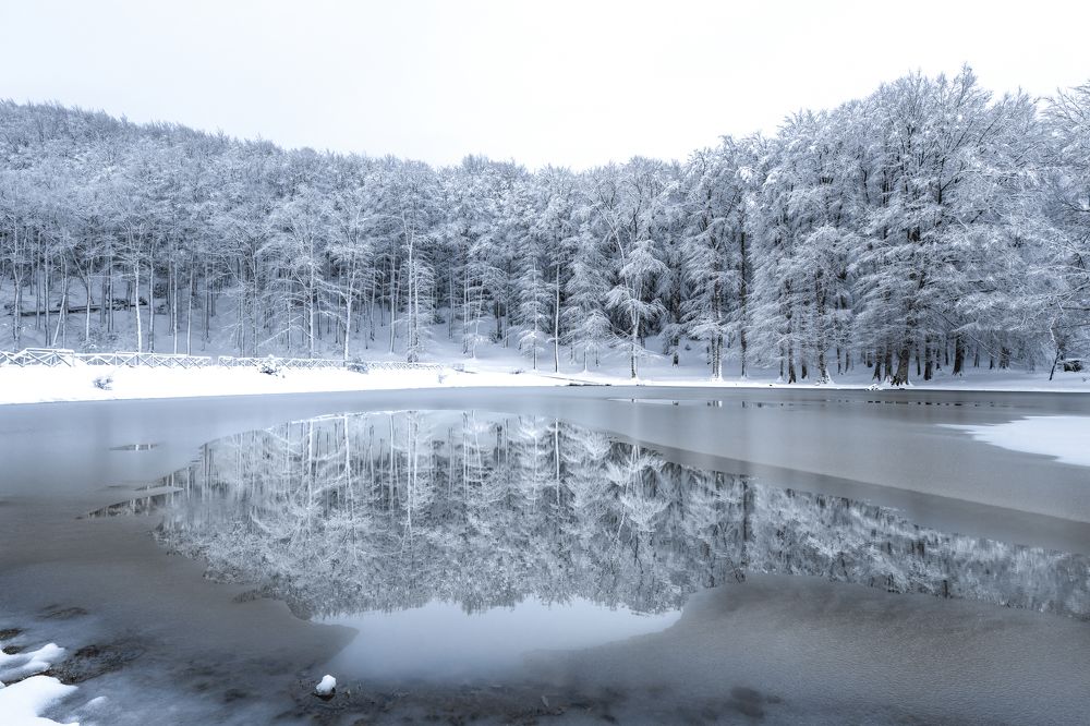 Photograph by Marco Tancredi