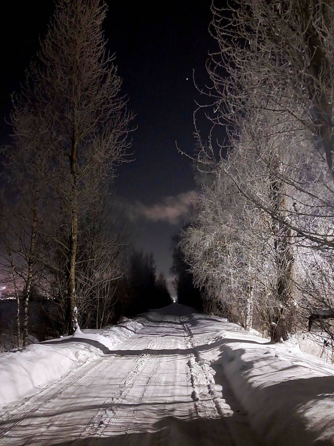 Photo #10472480