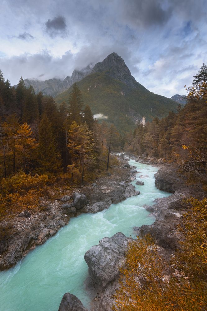 Photograph by Patrick