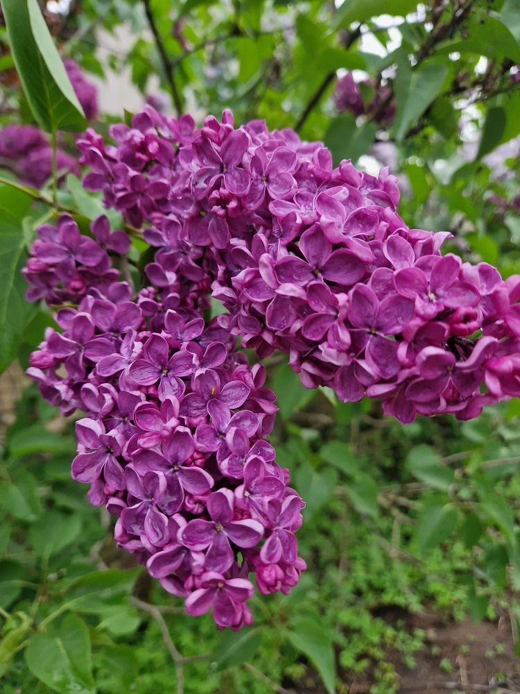 Photograph by Елена Гордеева