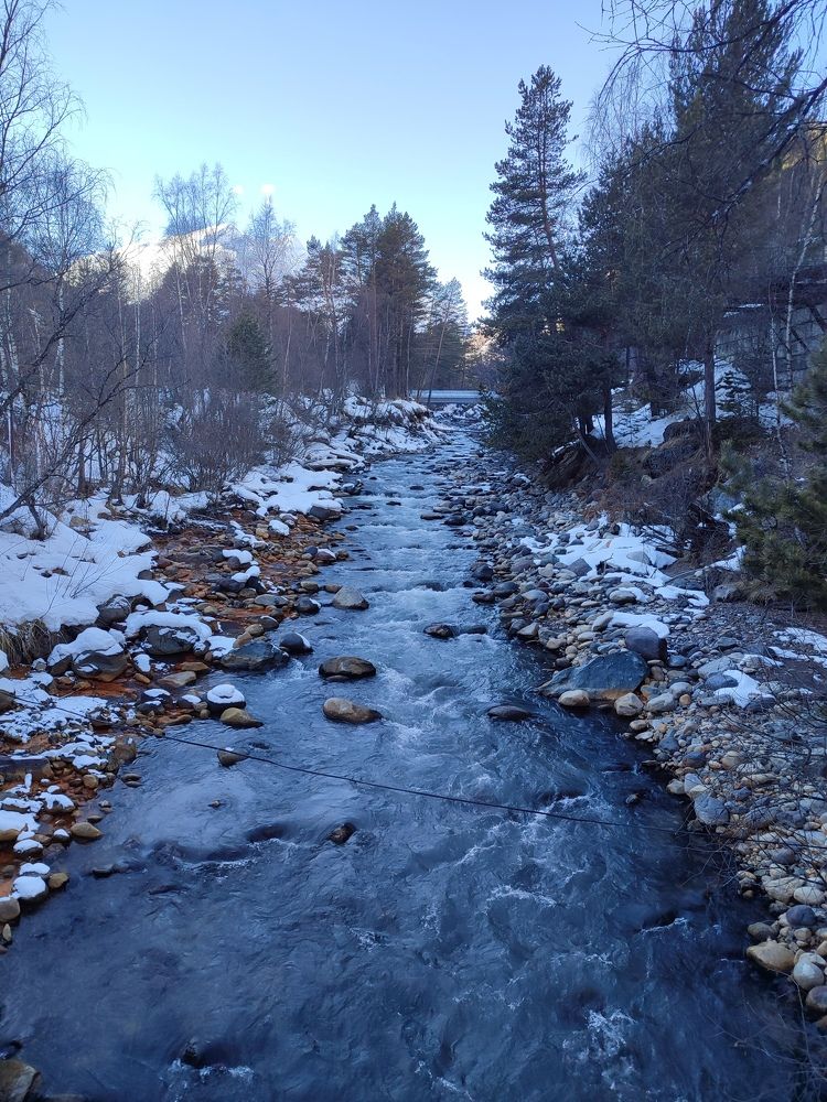 Фотография автора Таня Долгушева