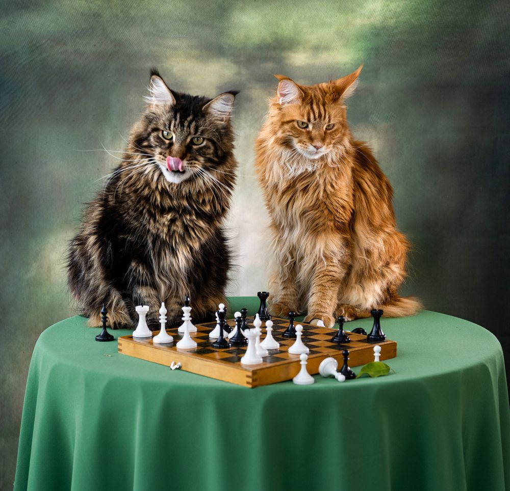 Photograph by NADEZHDA PELYMSKAIA