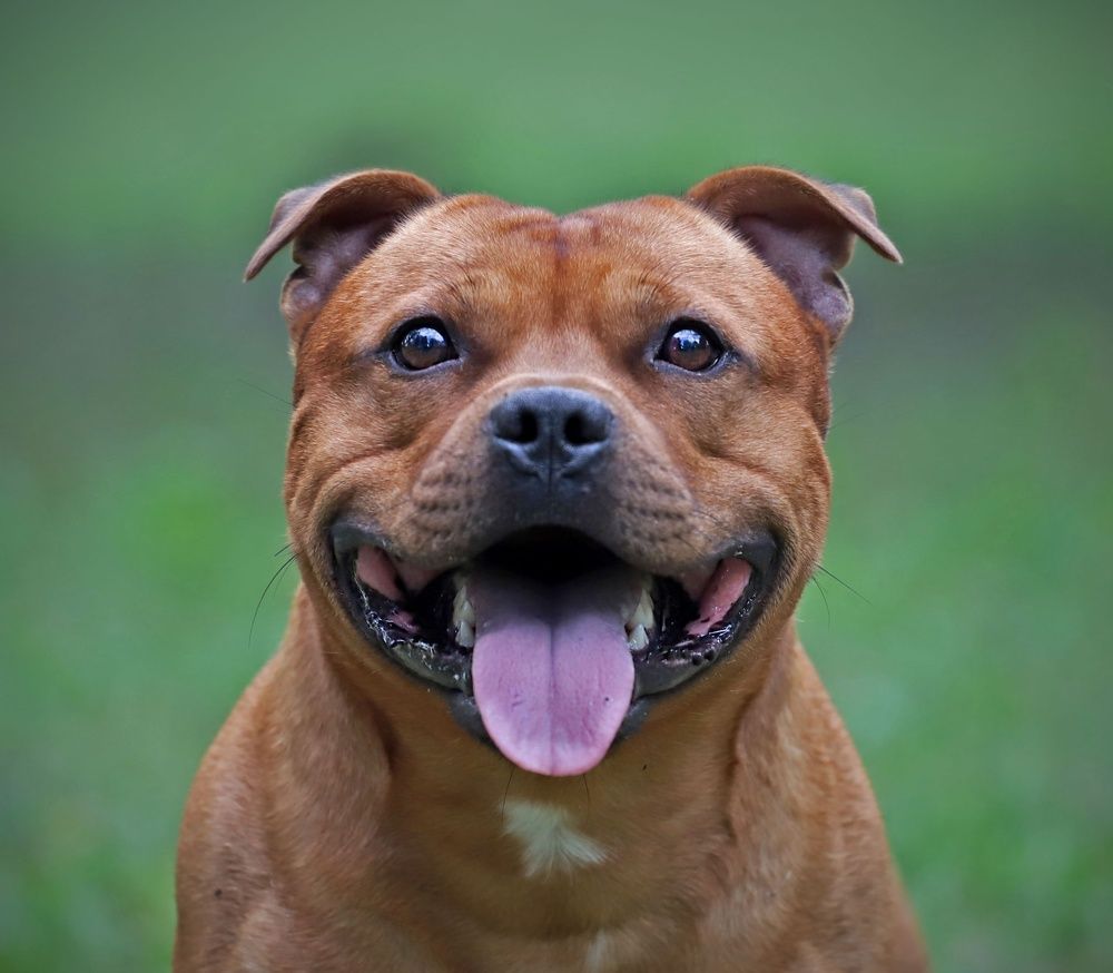 Photograph by Евгения Барановская