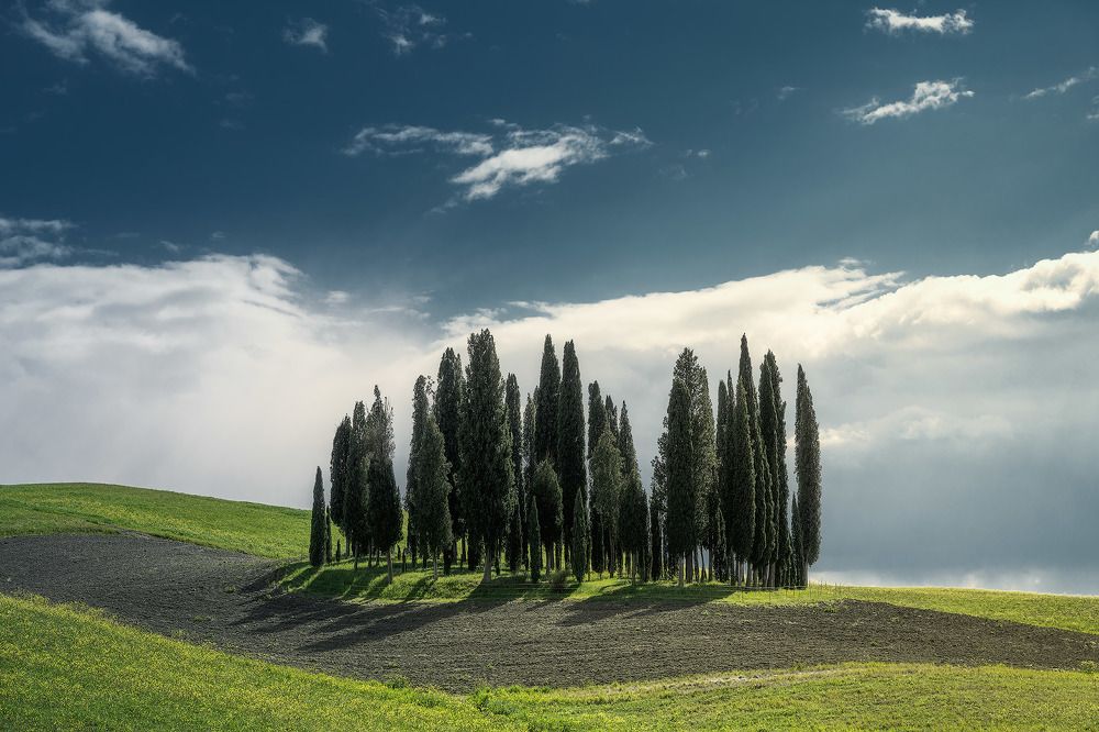 Photograph by dario camasso