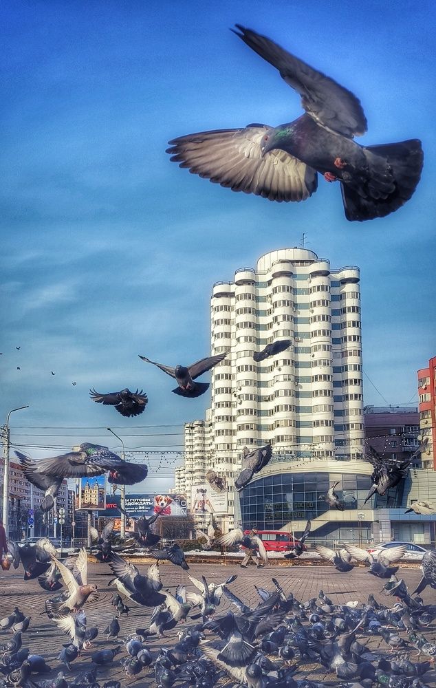 Photograph by Halina Basyanok