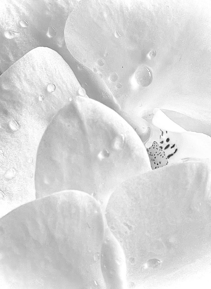 Photograph by Олеся Лагутина