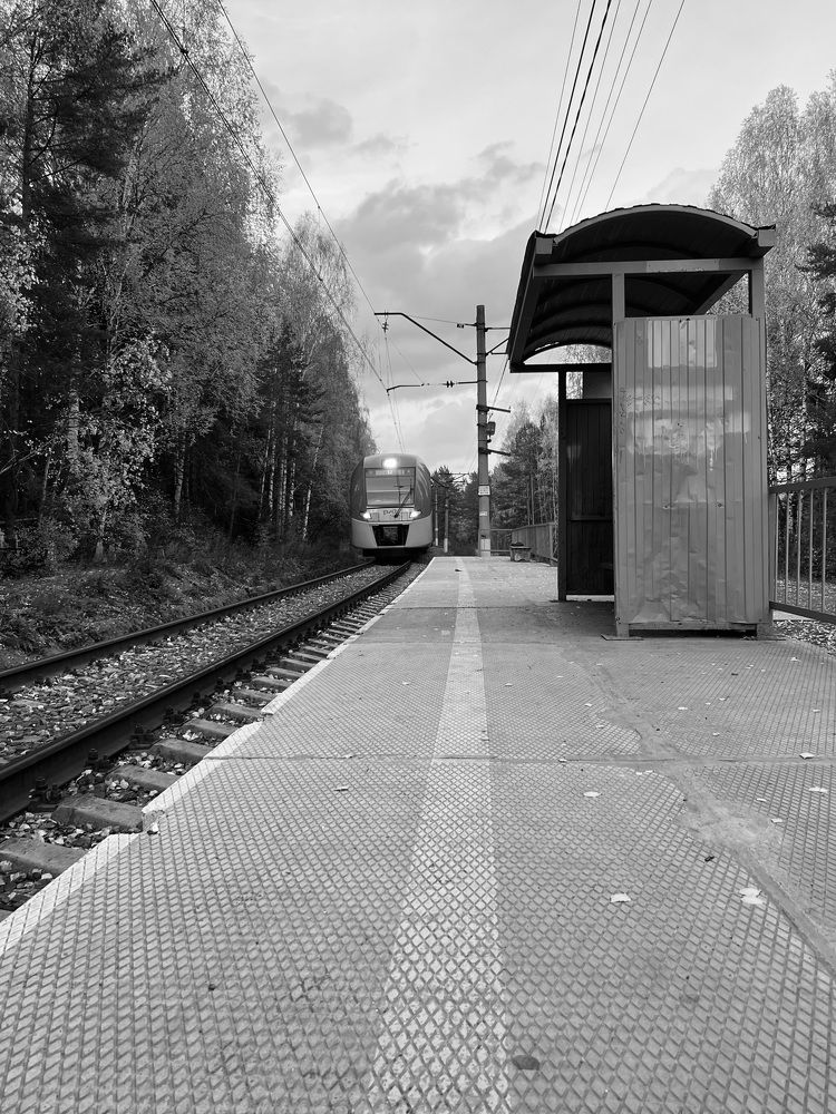 Photograph by Анастасия Конина