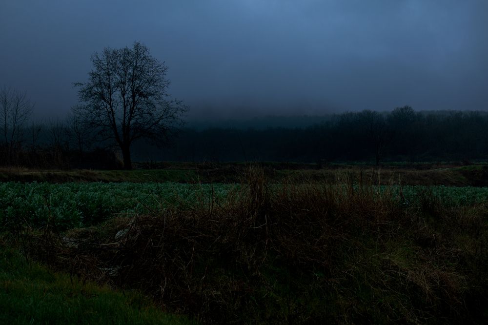 Photograph by Abdollah Fallah