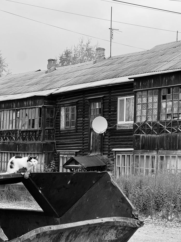 Photograph by Анастасия Конина